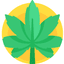 Medical Cannabis
