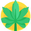 Medical Cannabis 